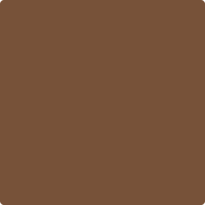 2164-10: Saddle Brown a paint color by Benjamin Moore avaiable at Clement's Paint in Austin, TX.