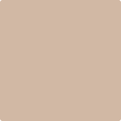 2164-50: Saint Martin Sand a paint color by Benjamin Moore avaiable at Clement's Paint in Austin, TX.