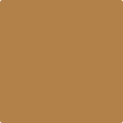 2165-20: Golden Meadow a paint color by Benjamin Moore avaiable at Clement's Paint in Austin, TX.
