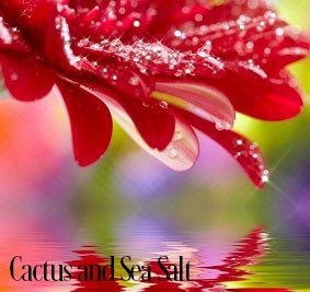 Cactus & Sea Salt Fragrance Oil 19873
