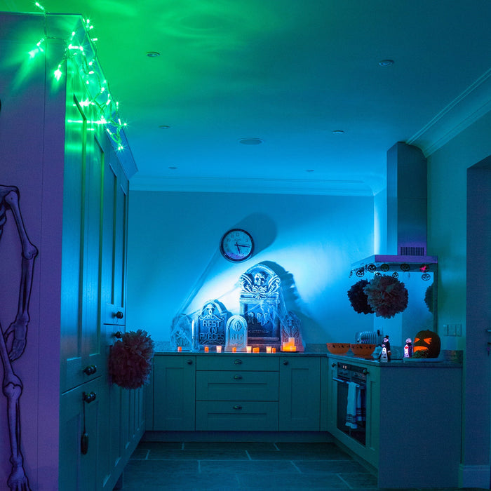 ML100GC_Halloween-green-led-fairy-lights-kitchen_P8.jpg