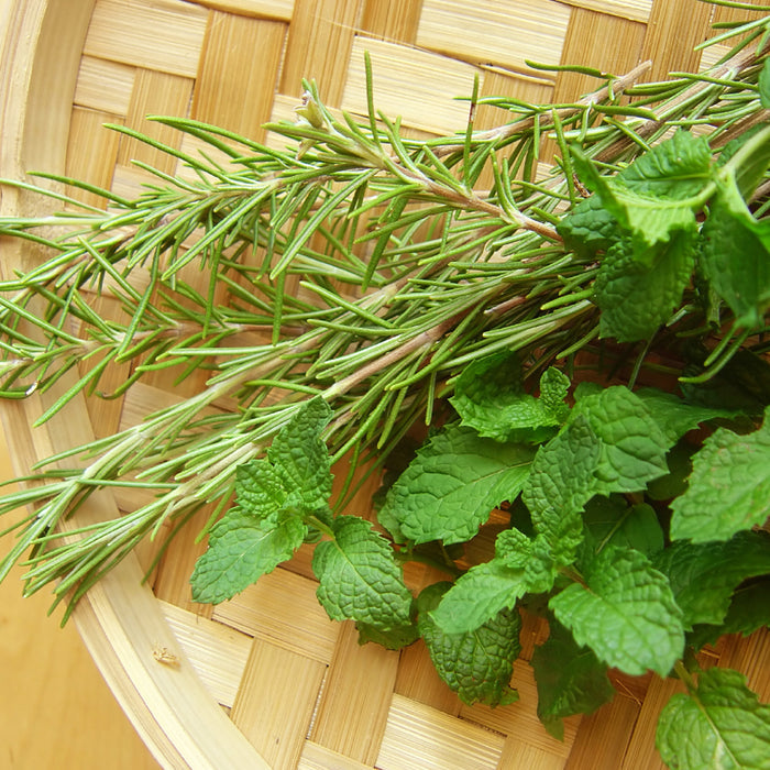 Rosemary Peppermint - EO & FO Blend 739