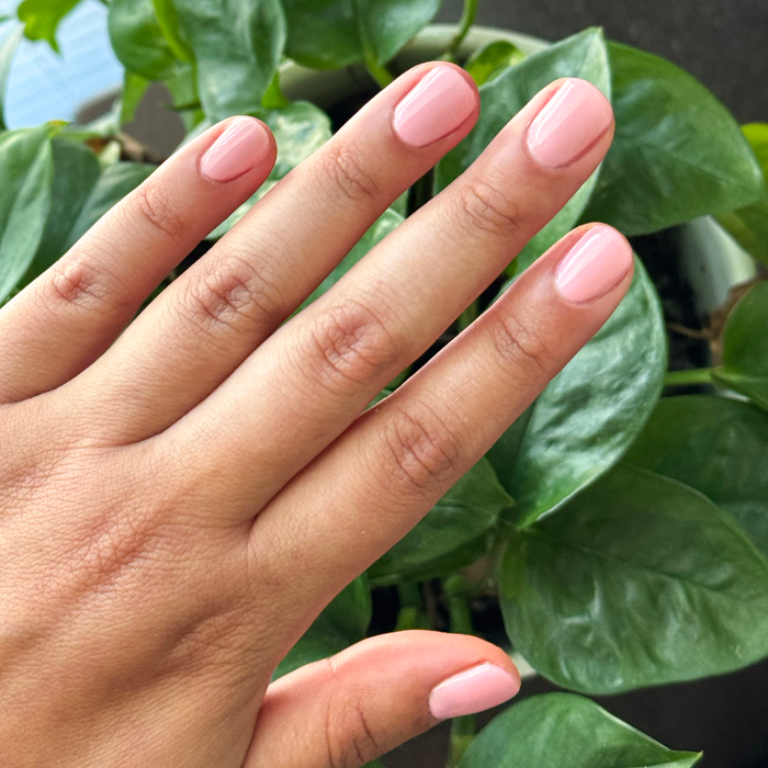 Hand displaying nails painted in a sheer pink Saltwater Taffy - Gel polish for a fresh, long-lasting manicure at home