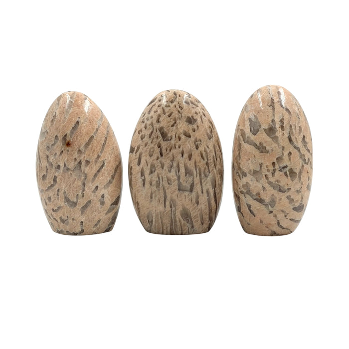 Snake Skin Jasper Free Form