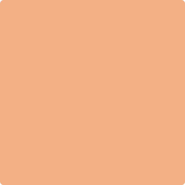 2167-40: Toffee Orange  a paint color by Benjamin Moore avaiable at Clement's Paint in Austin, TX.