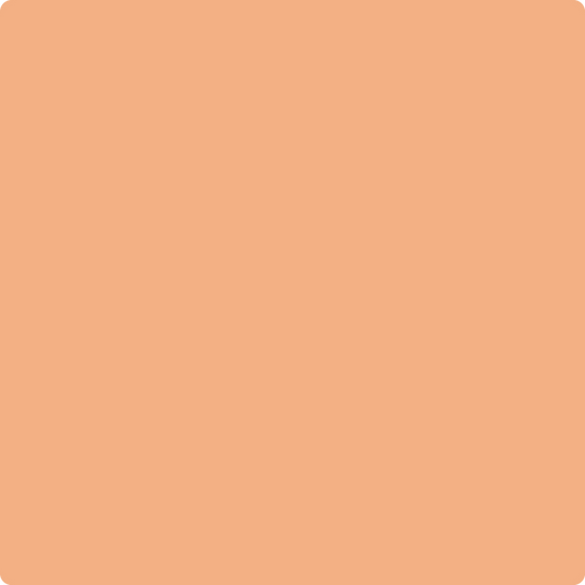 2167-40: Toffee Orange  a paint color by Benjamin Moore avaiable at Clement's Paint in Austin, TX.