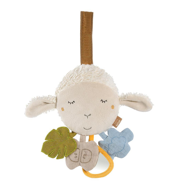 Activity Sheep
