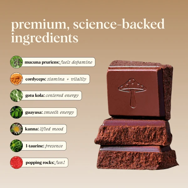 Alice Mushroom Chocolate - Party Trick - Aesthetics By Kell