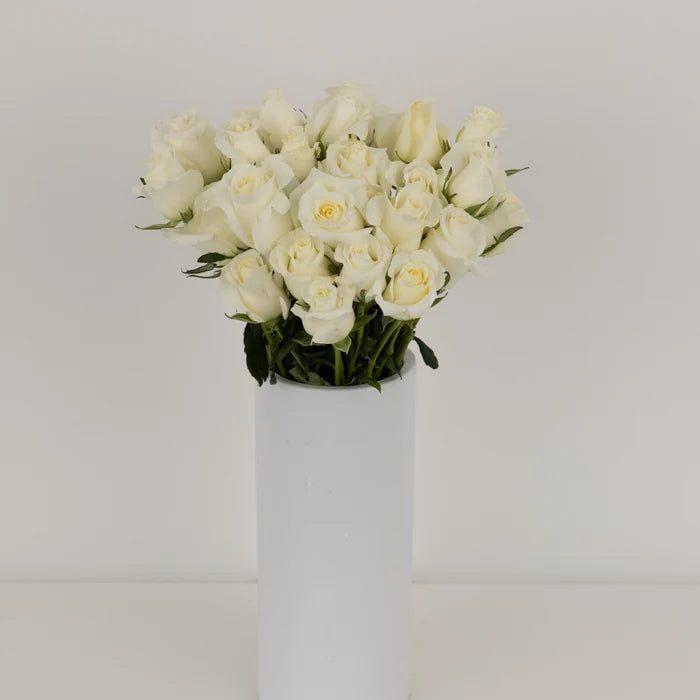 Blizzard White Rose Vase - Image