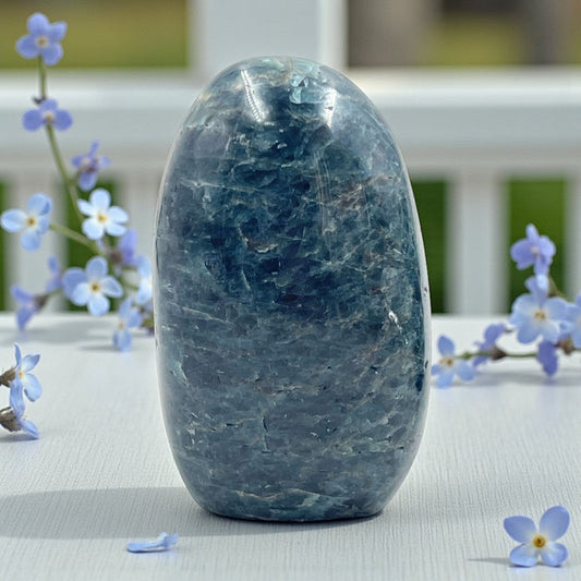 Blue Apatite Free Form