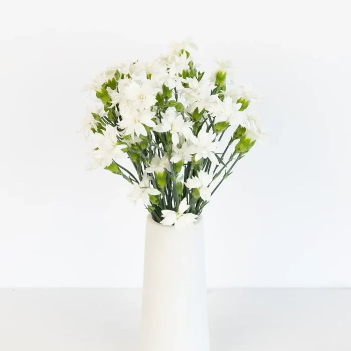 Bridal White Star Dianthus Flowers Vase - Image