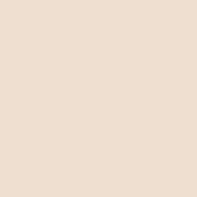 CC-140: Barely Beige  a paint color by Benjamin Moore avaiable at Clement's Paint in Austin, TX.