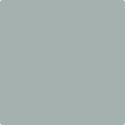 CC-720: Night Train  a paint color by Benjamin Moore avaiable at Clement's Paint in Austin, TX.