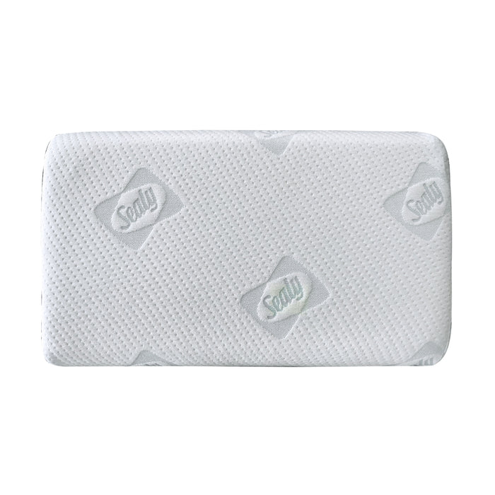 SEALY MALAYSIA Contour memory Foam | Isetan KL Online Store