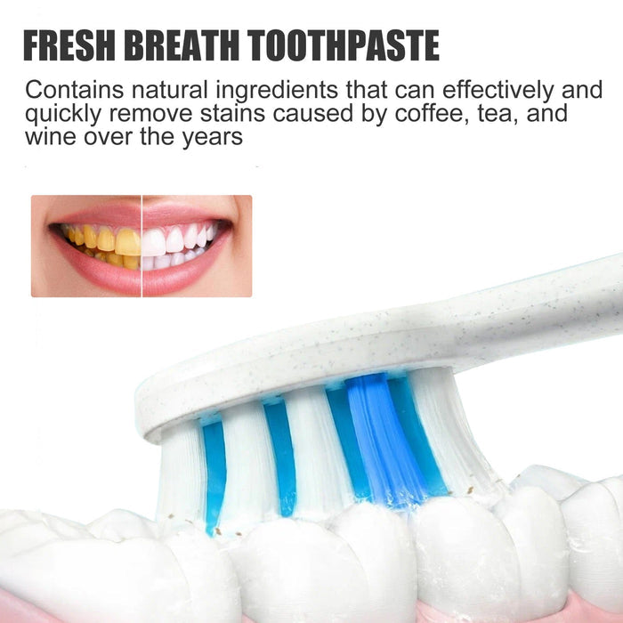 EELHOE Probiotic Toothpaste SP-4 EELHOE COSMETICS