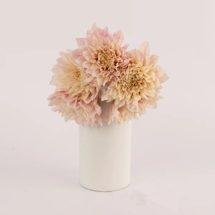 Evening Sun Dinner Plate Dahlia Flower Vase - Image