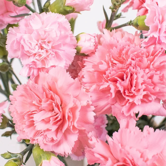 Light Pink Flower Kit Up Close