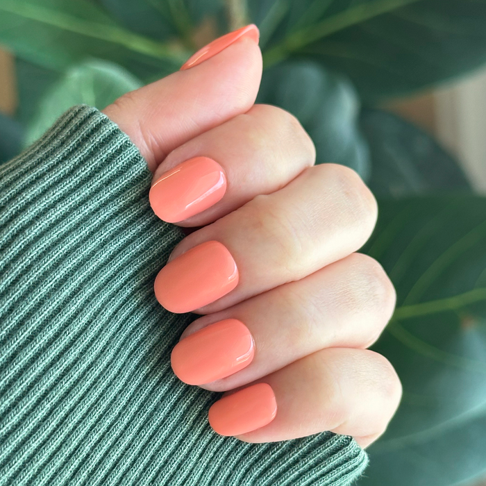 Frolic | Extra Short | Round - Tab Press-On nails in bright orangey coral for easy at-home manicure use