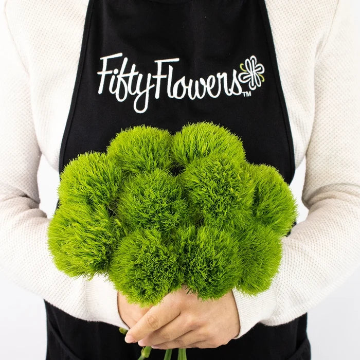Green Dianthus Flower Bunch in Hand