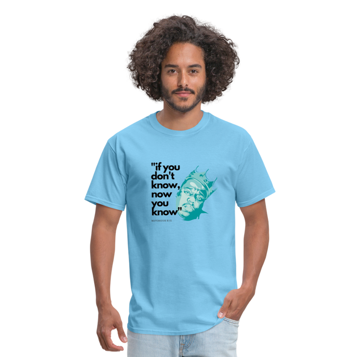 If You Don't Know - aquatic blue