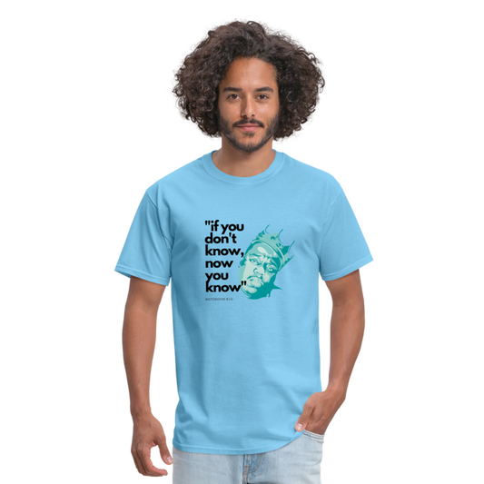 If You Don't Know - aquatic blue