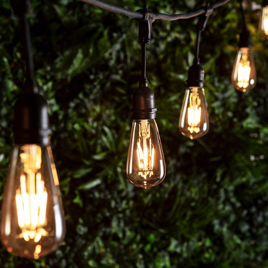 10 Squirrel Cage Bulb Ingenious Festoon Light Bundle