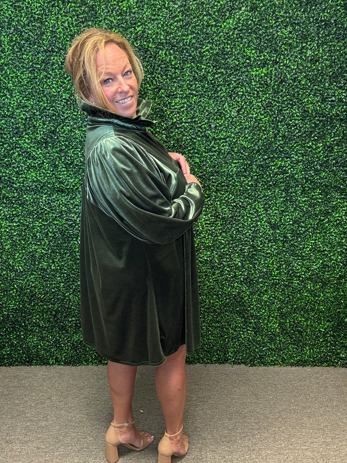 Lux  Olive Velvet Dress