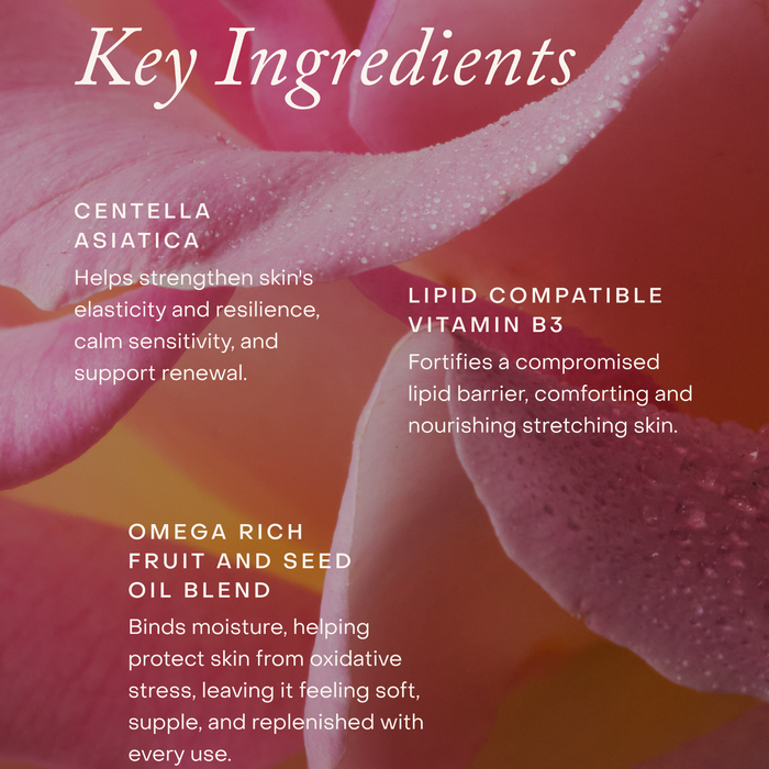 True Botanicals-Mindful Mama Belly & Body Oil-Body-S-W-D-PPFB-R_4-The Detox Market |