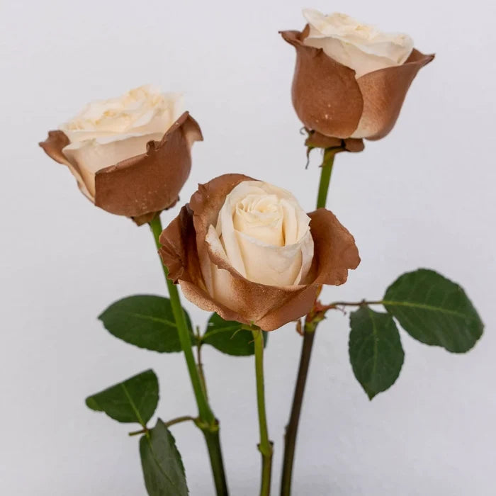 Mocha Mousse Tinted Roses Stem - Image