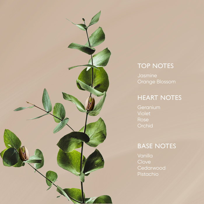 Irene Forte-Pistachio Body Oil With Phytomelatonin-Body-IreneForteSkincarePistachioBodyOil5-The Detox Market |