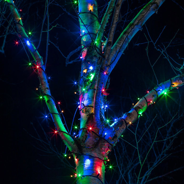 PR50MB_Multi-coloured-LED-Christmas-Lights-Tree-Close_5a7576ef-3a50-40fd-87b8-313c34485ade.jpg