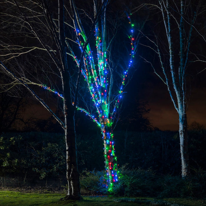 PR50MB_Multi-coloured-LED-Christmas-Lights-Tree_aa489958-0541-46d8-83bd-bcb0f24b8c1a.jpg