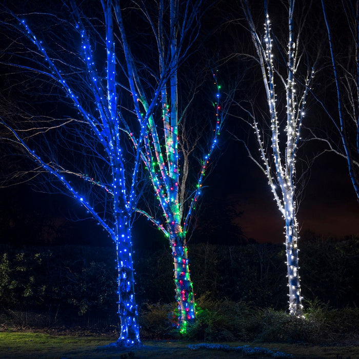 PR50MB_Multi-coloured-LED-Christmas-Lights-Tree-Group.jpg