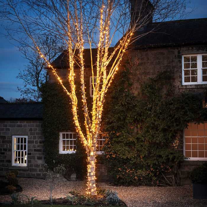 5m 50 Traditional Warm White LED Connectable String Lights Black Cable Pro Series