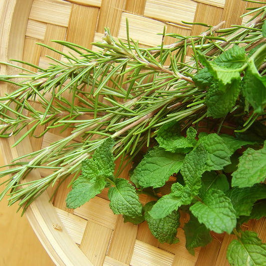 Rosemary Peppermint - EO & FO Blend 739