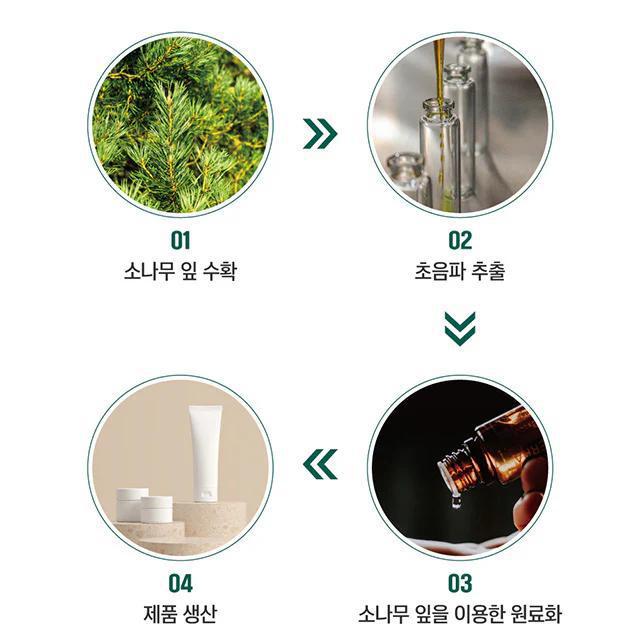 ROUND LAB Pine Calming Cica Cream 50 mL