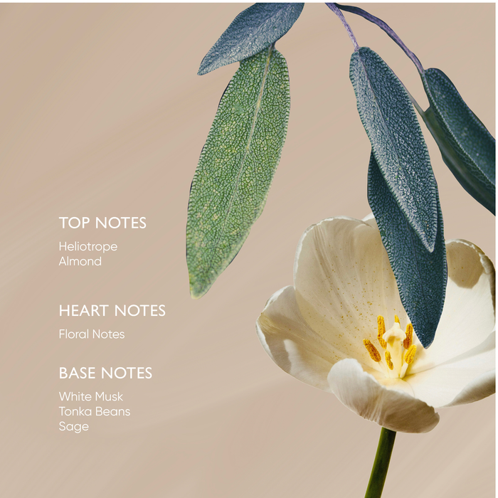 Irene Forte-Sage Body Oil With Arnica & Hypericum-Body-IreneForteSkincareSageBodyOil5-The Detox Market |