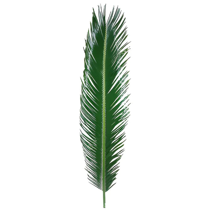 Sago Palm Tropical Greenery