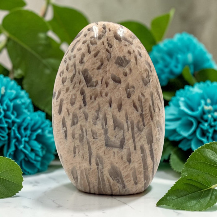 Snake Skin Jasper Free Form