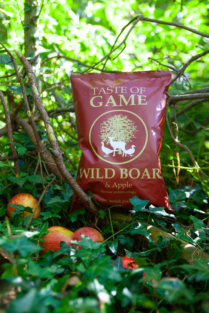Wild Boar and Apple Crisps 150g (Case of 12)